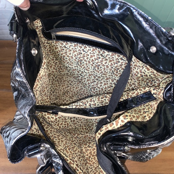 🐍 - Picture 2 of 2